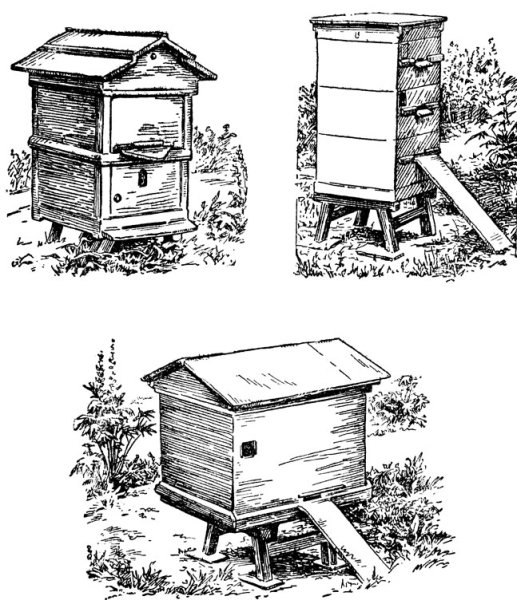 Улей раскраска