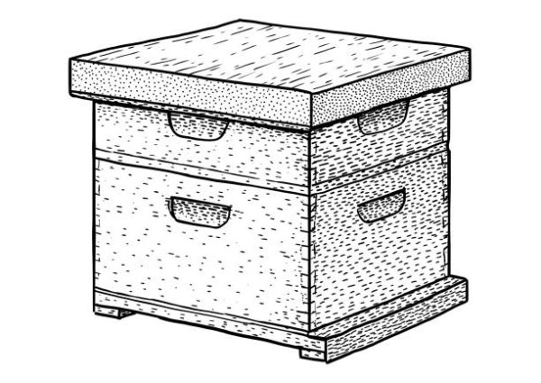 Улей раскраска