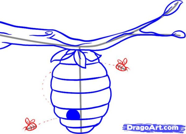 Улей рисунок карандашом