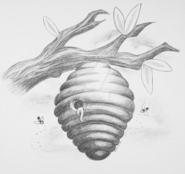 Пчелиные ульи