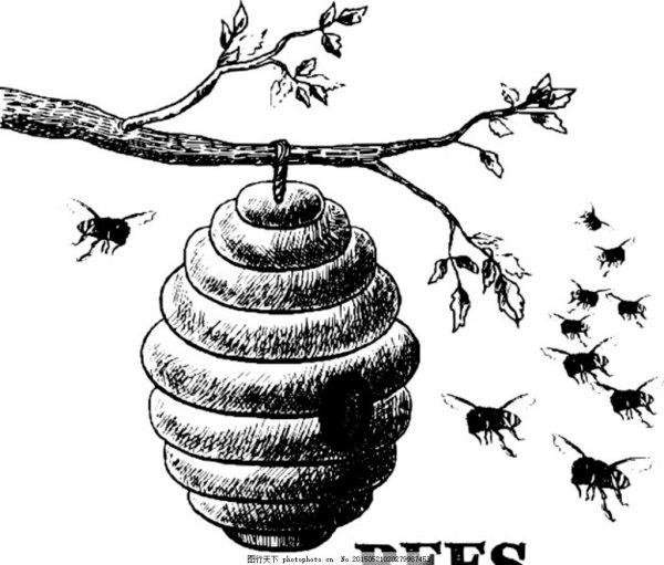 Улей квадратный рисунок