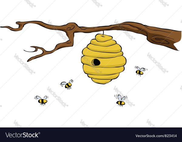 Раскраска ульи для детей