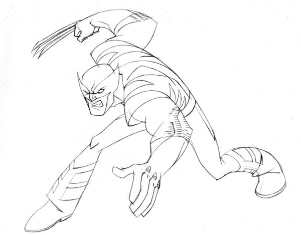 Поэтапное рисование Росомахи