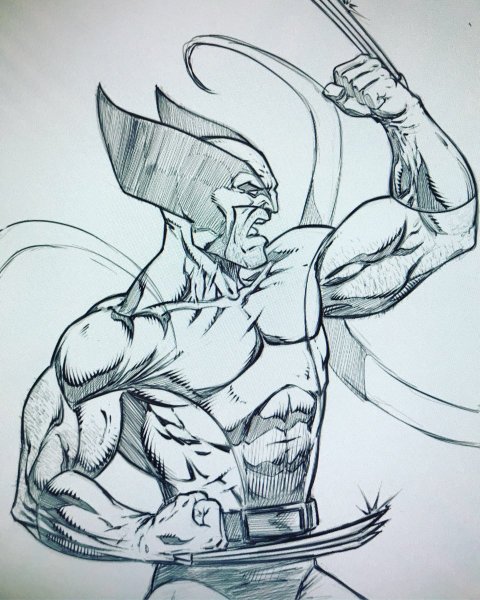 Росомаха для срисовки