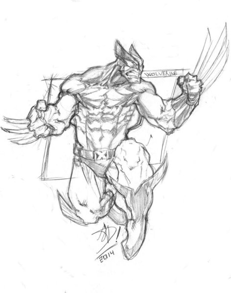 Росомаха карандашом