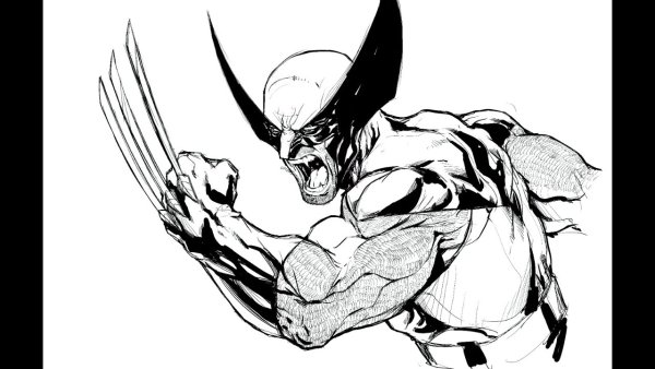 Росомаха схематично