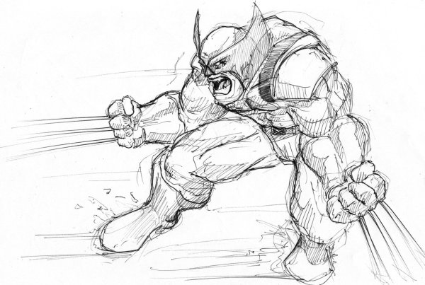 Росомаха карандашом