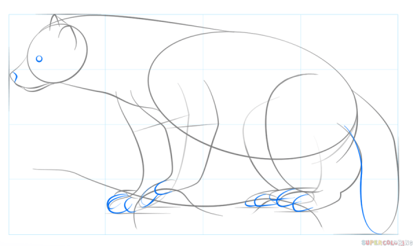 Нарисовать Росомаху животное