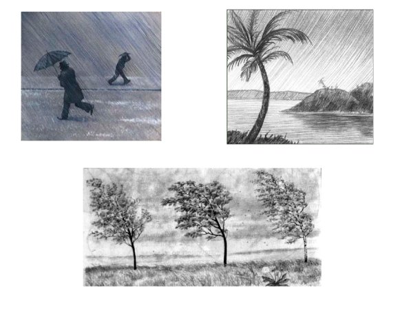 Ритм пятен в природе