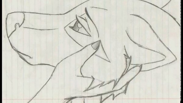 Лёгкие рисунки для срисовки карандашом