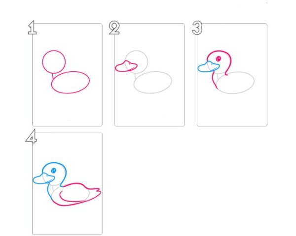 Рисование утки пошагово