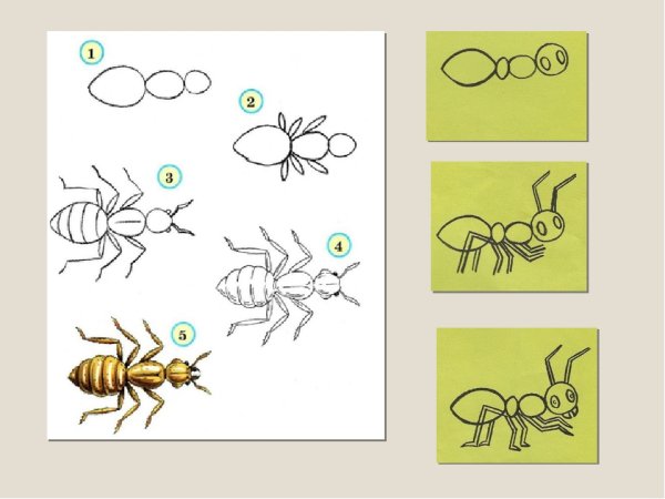 Как нарисовать оленя пошагово