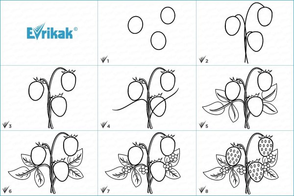 Алгоритм рисования цветов