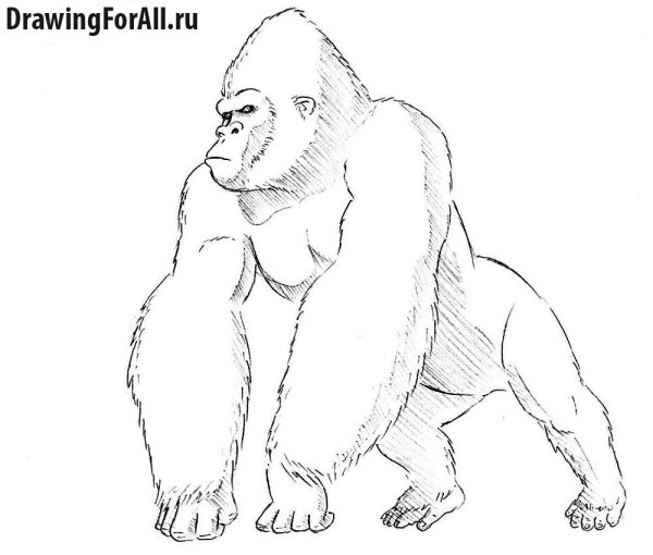 Кинг Конг рисовать