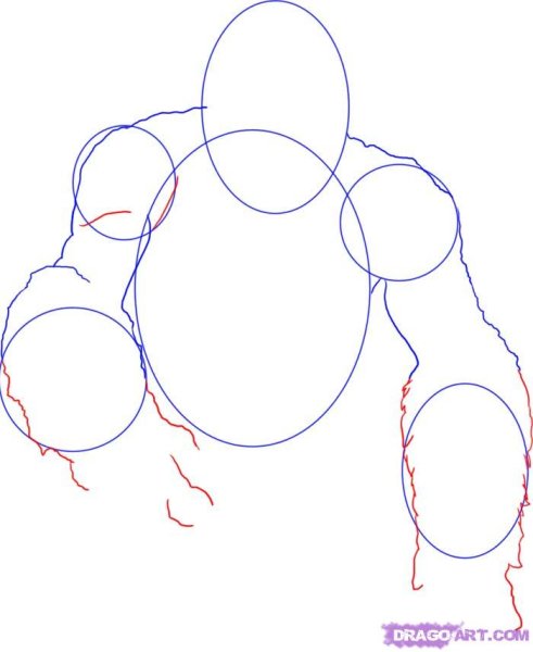 Поэтапное рисование гориллы