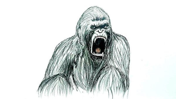 Кинг Конг для срисовки