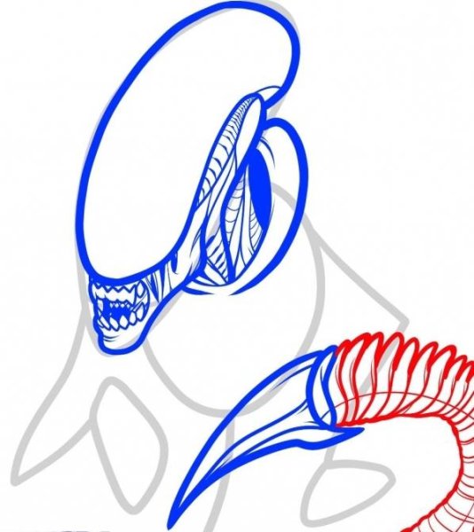 Чужой карандашом поэтапно