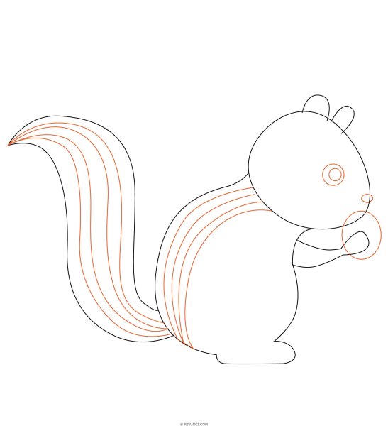 Бурундук карандашом