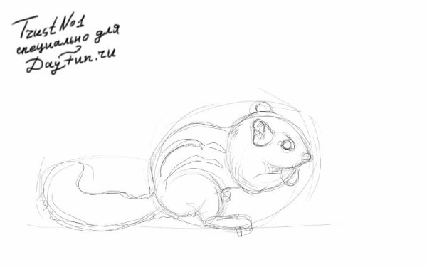 Поэтапное рисование бурундука