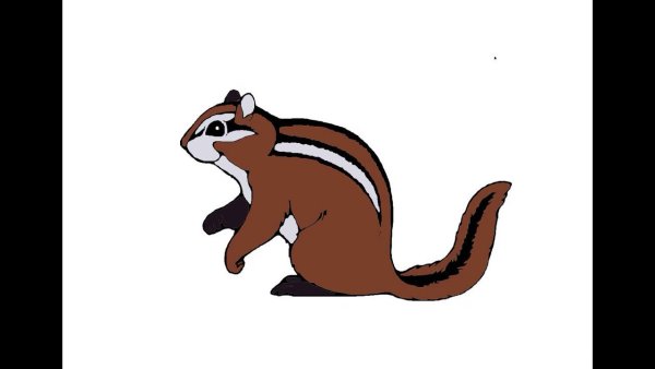 Белка поэтапное рисование для детей