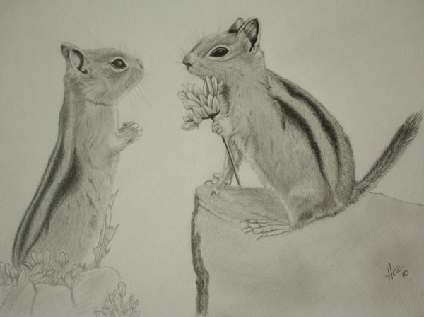 Поэтапные рисунки карандашом мультяшки