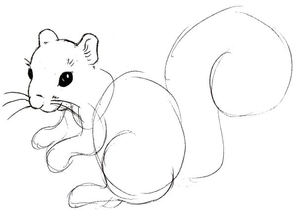 Рисунок маленького бурундука для срисовки лёгкие