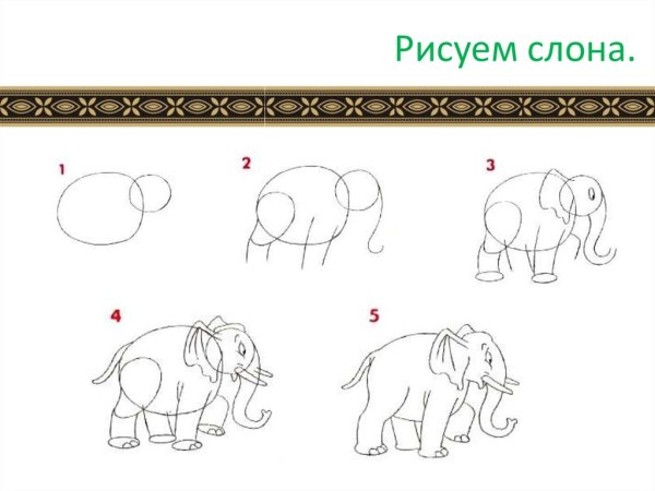 Как нарисовать слона