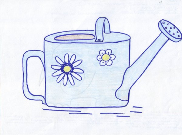 Предметы для ухода за комнатными растениями