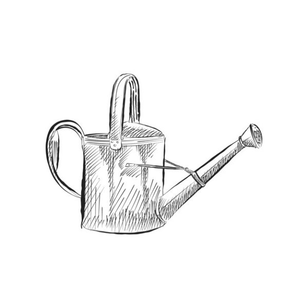 Набросок лейки
