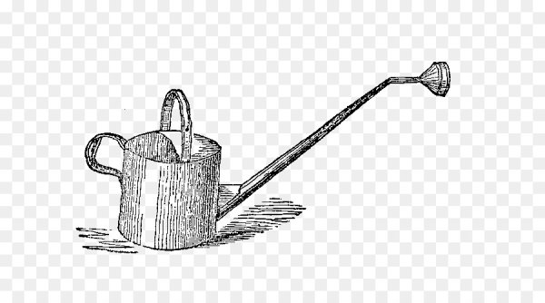 Набросок лейки