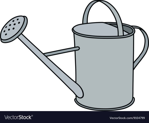 Лейка vector stock