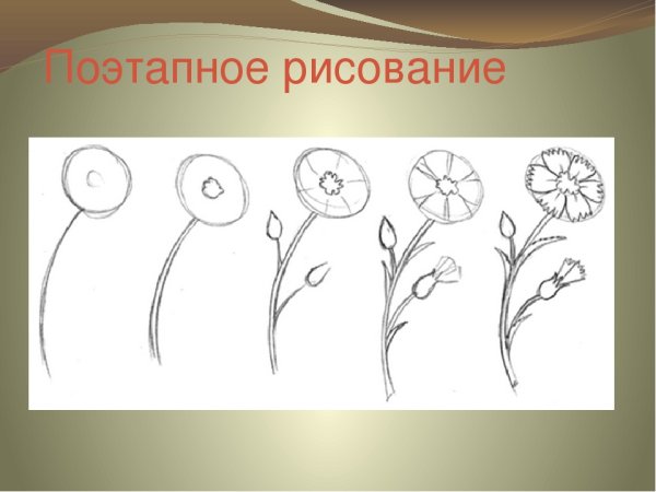 Урок рисования 1 класс