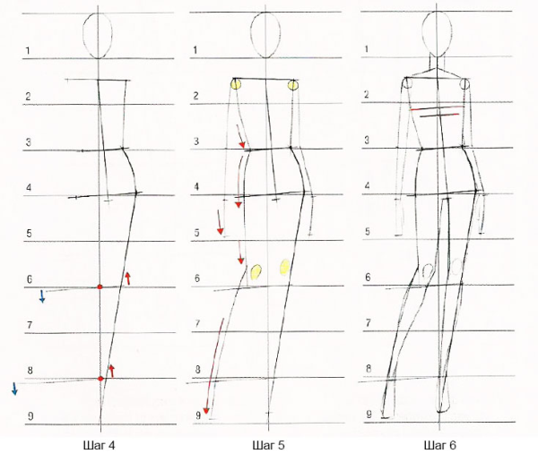 Пропорции человека для рисования для начинающих