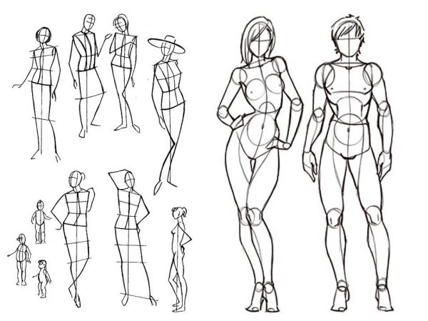 Референс анатомия пропорции