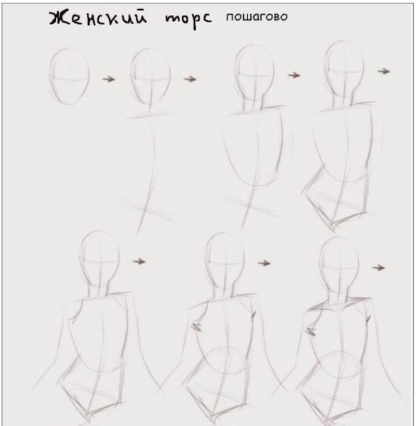 Поэтапное рисование тела
