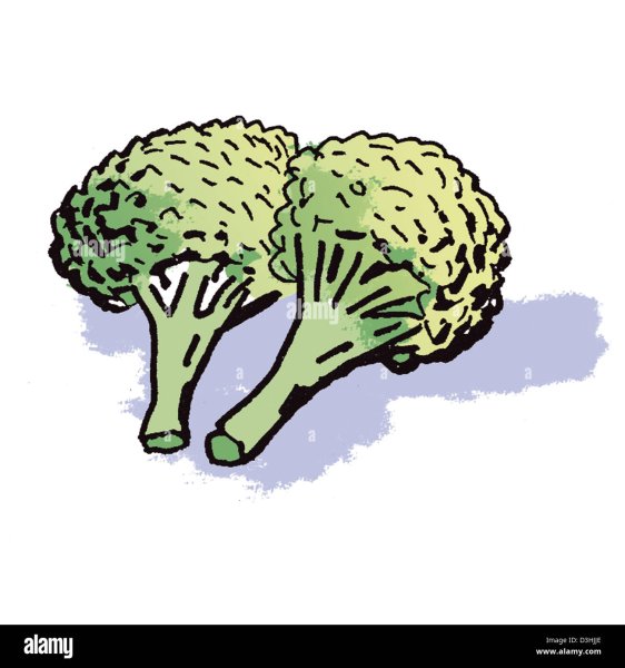 Легкие рисунки брокколи