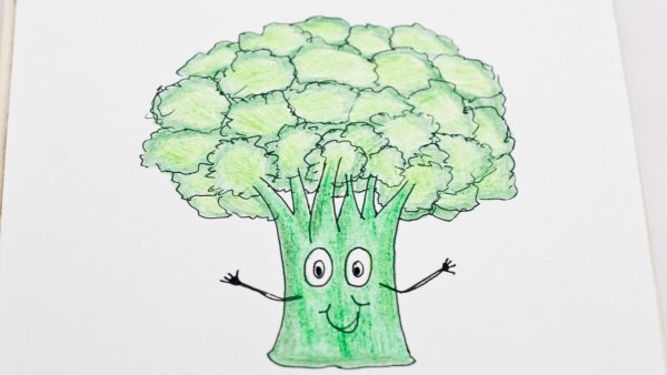 Брокколи рисунок детский