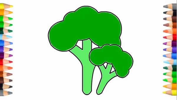 Брокколи колор дро