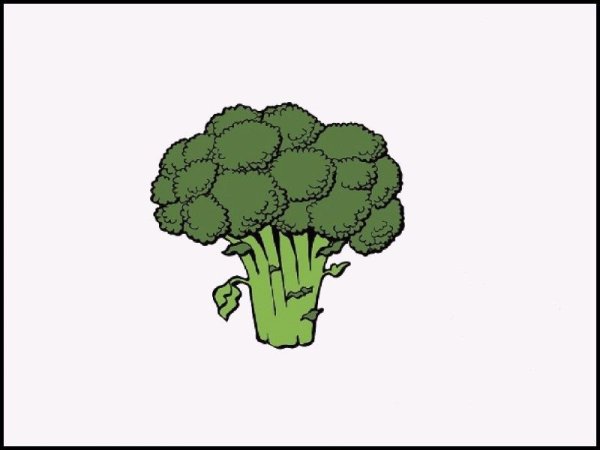 Нарисовать брокколи