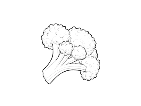 Брокколи эскиз