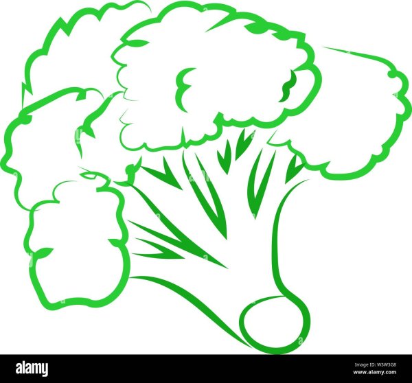 Рисунок брокколи одной линией