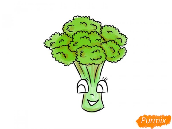 Нарисовать брокколи поэтапно