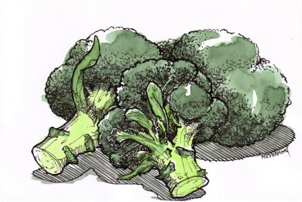 Брокколи стилизация