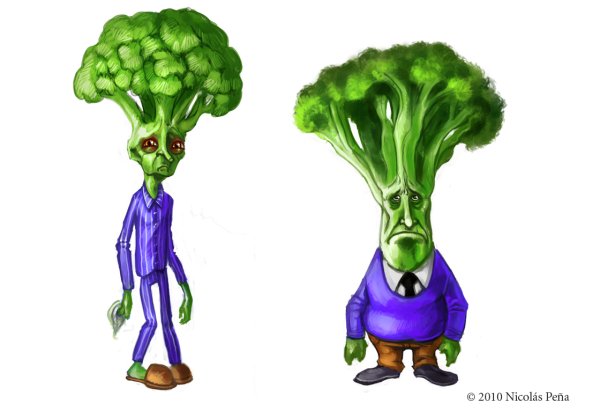 Строение брокколи биология