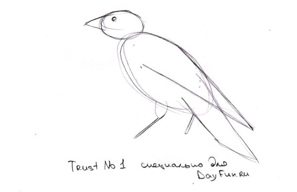 Поэтапный рисунок вороны