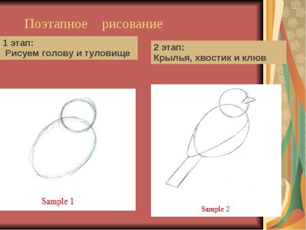 Поэтапное рисование презентация