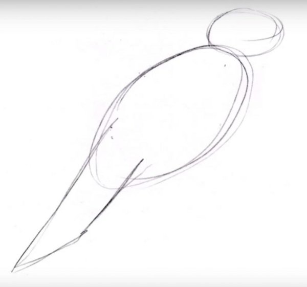 Поэтапное рисование вороны