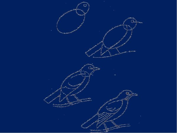 Поэтапное рисование галки