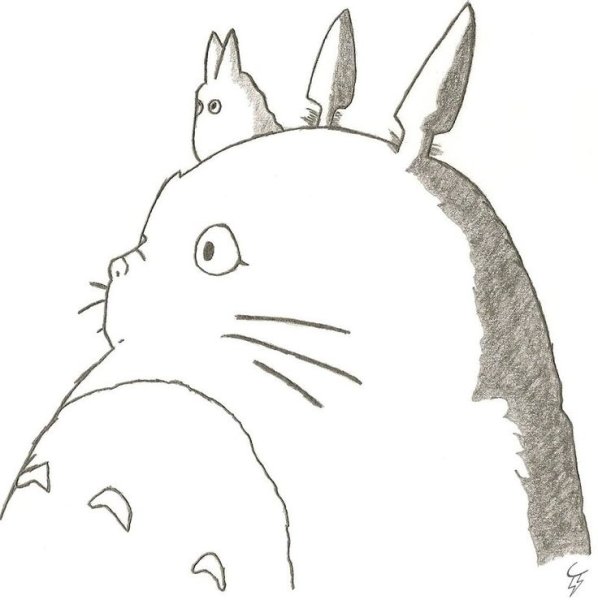 Аниме Тоторо рисунок карандашом