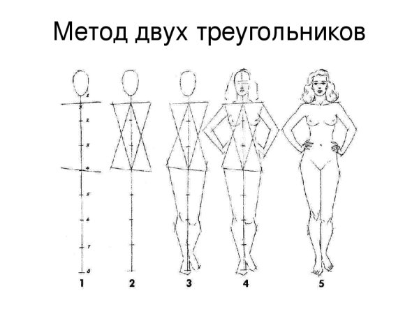 Упражнения для рисования пропорции